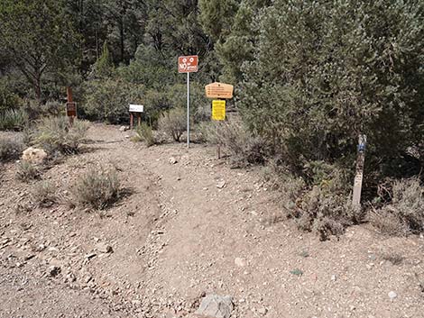 Lovell Canyon Trailhead