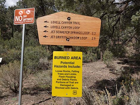 Lovell Canyon Trail