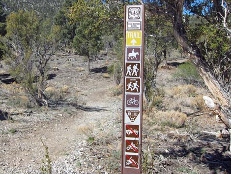 Sawmill Trailhead