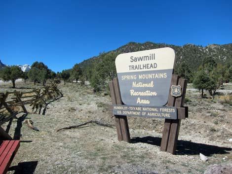 Sawmill Trailhead