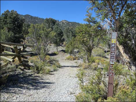 Sawmill Trailhead