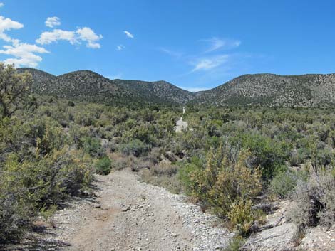 Lower Telephone Canyon Trailhead