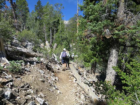 Wildhorse Loop Trail