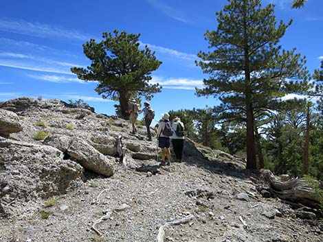 Wildhorse Loop Trail