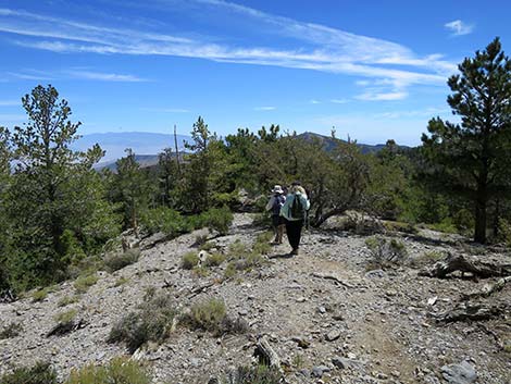 Wildhorse Loop Trail