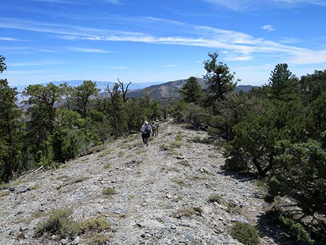 Wildhorse Loop Trail