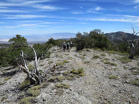 Wildhorse Loop Trail