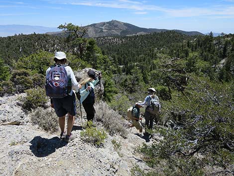 Wildhorse Loop Trail