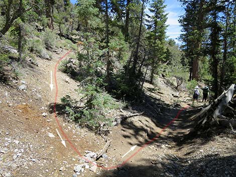 Wildhorse Loop Trail