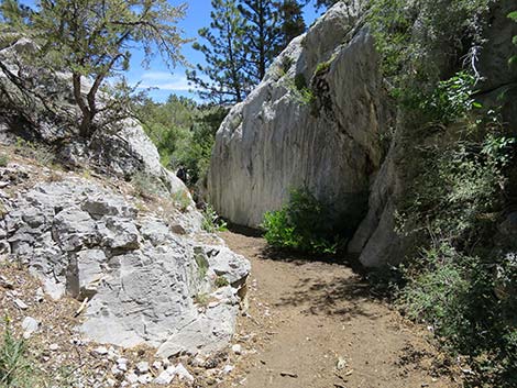 Wildhorse Loop Trail