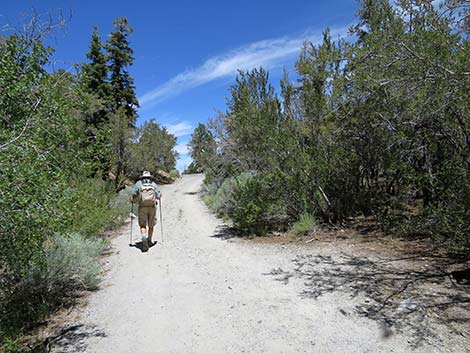 Wildhorse Loop Trail