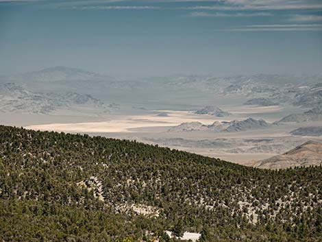 Wildhorse Loop Trail