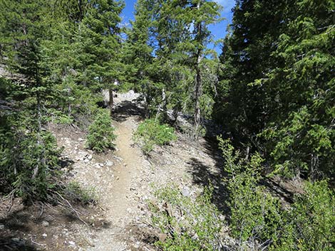 Wildhorse Loop Trail