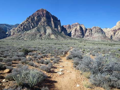 Arnight Trail