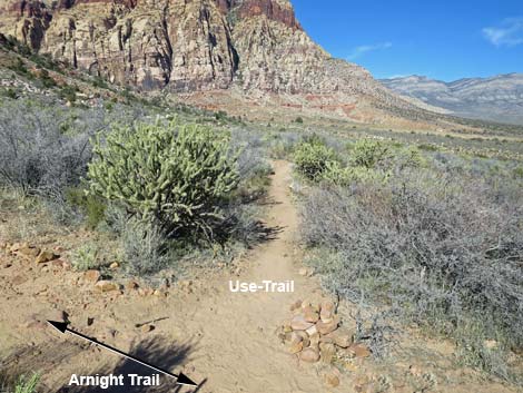 Arnight Trail