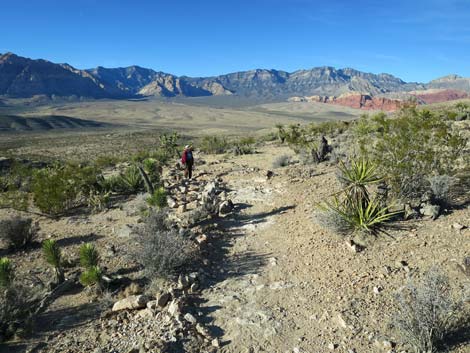 Cat-N-Hat Trail