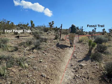 Fossil Trail