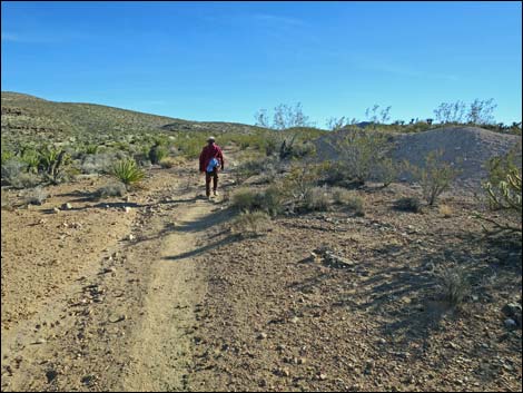 Fossil Trail