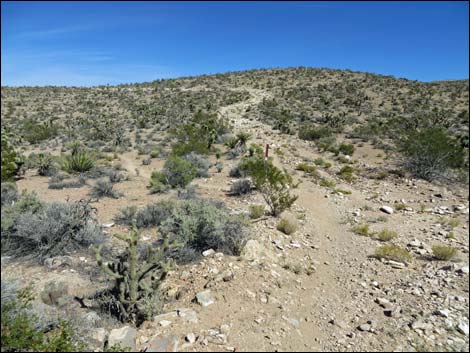 Jeep Trail