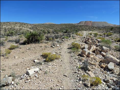 Jeep Trail