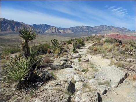 Rock Garden Trail