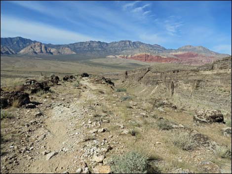 Rock Garden Trail