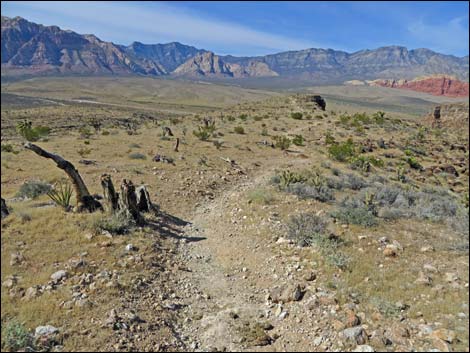 Fossil Canyon Loop