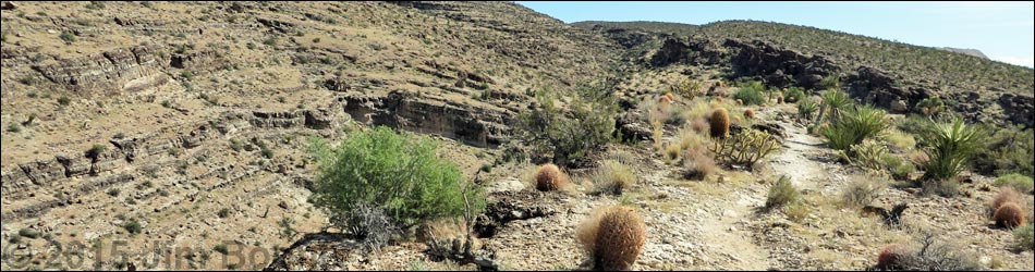 Rock Garden Trail