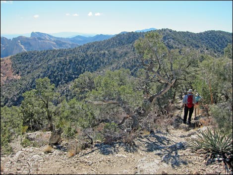 Bridge Mountain Trail