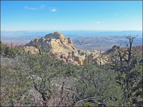 Bridge Mountain Trail