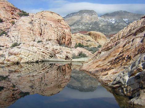 Lower Brownstone Tank