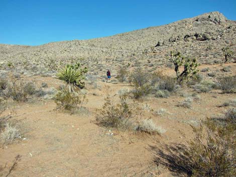 Ridgeline Loop Trail