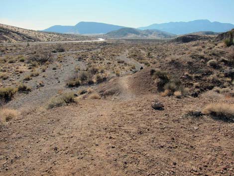 Ridgeline Loop Trail