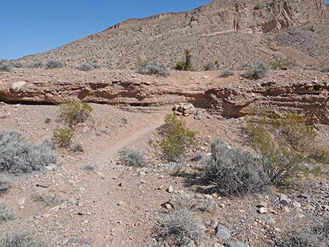 Ridgeline Loop Trail