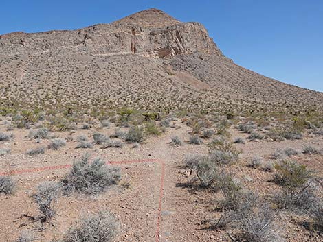 Ridgeline Loop Trail
