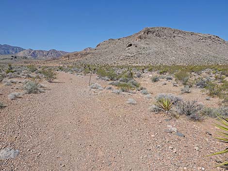Ridgeline Loop Trail