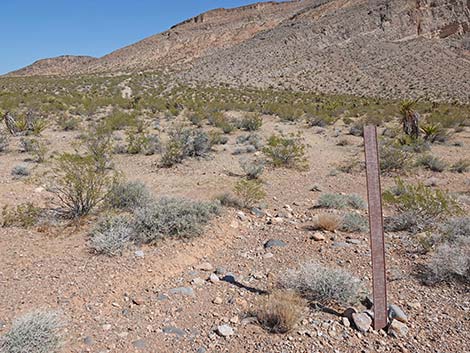 Ridgeline Loop Trail