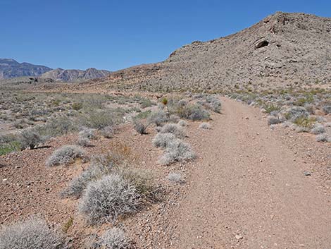 Ridgeline Loop Trail