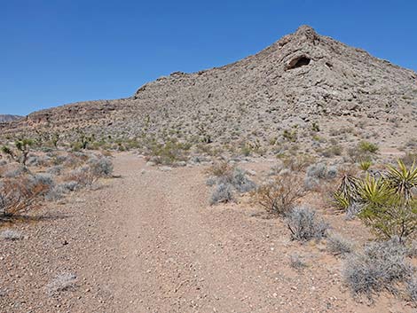 Ridgeline Loop Trail