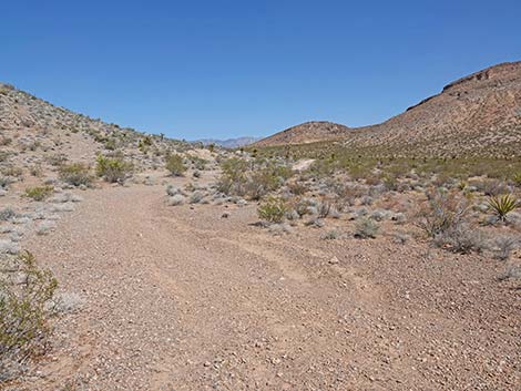 Ridgeline Loop Trail