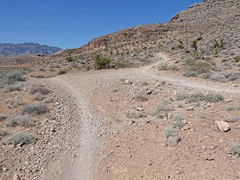 Ridgeline Loop Trail