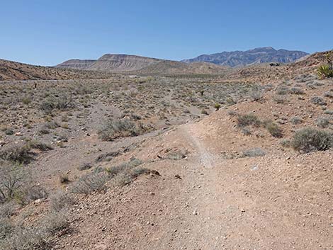 Ridgeline Loop Trail