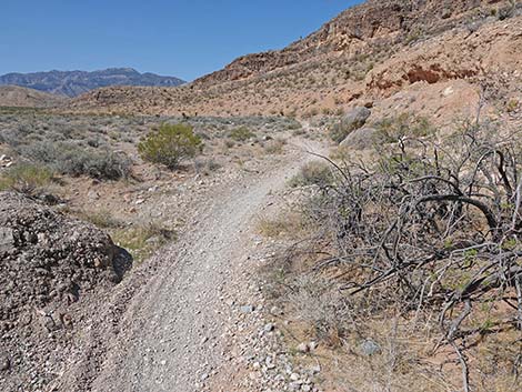 Ridgeline Loop Trail