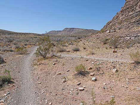 Ridgeline Loop Trail