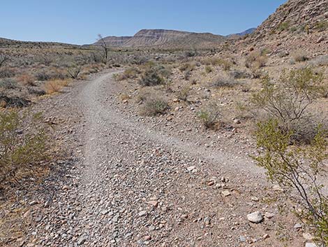 Ridgeline Loop Trail