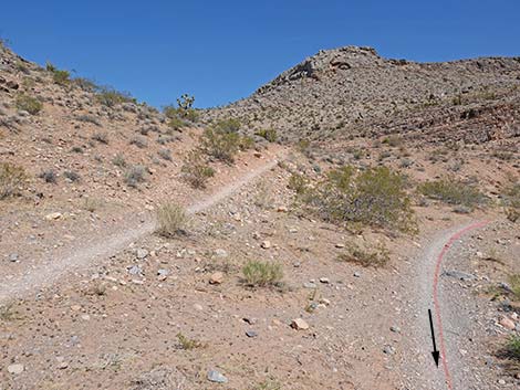 Ridgeline Loop Trail