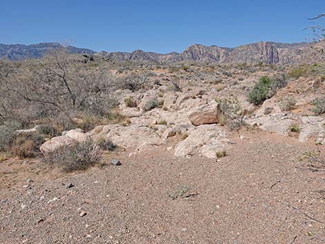 Ridgeline Loop Trail