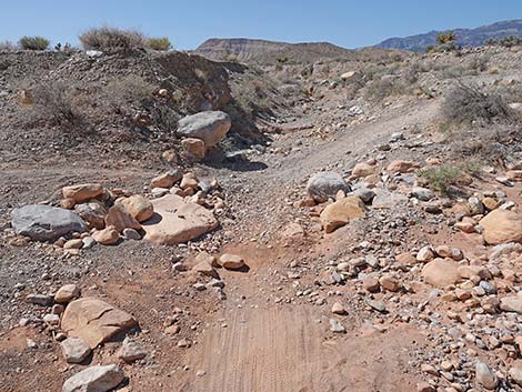Ridgeline Loop Trail