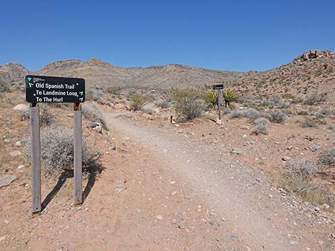 Ridgeline Loop Trail