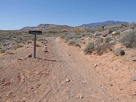 Ridgeline Loop Trail